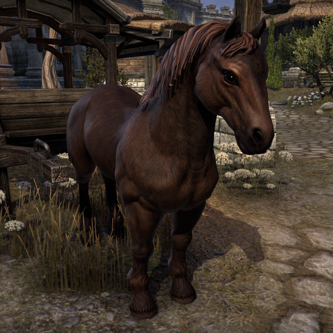 File:ESO Sojourn.png