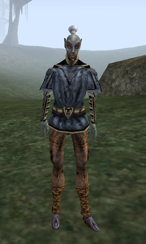 File:Goron Lleran.png