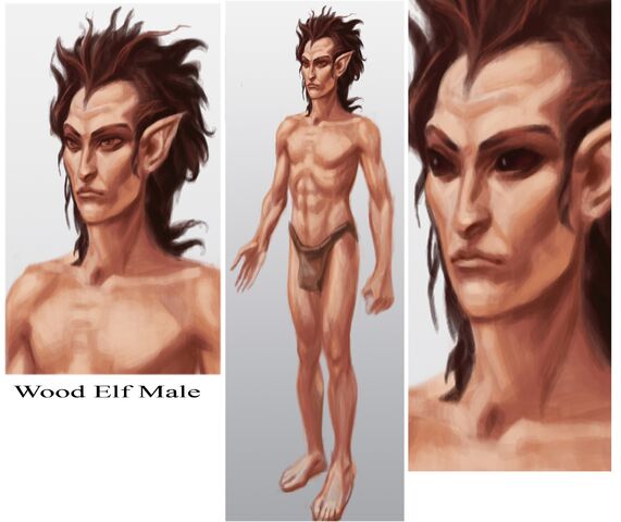 File:Wood Elf Male.jpg