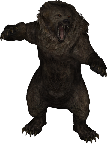 File:LS-model-bear.png