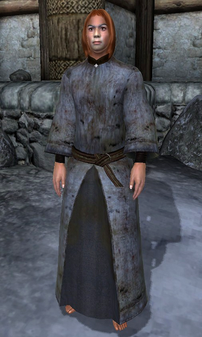 File:Robe of Defense.png