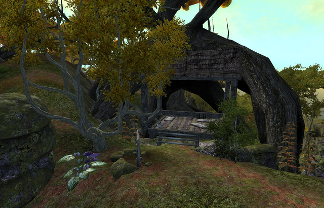 File:Camp Talltrees.png