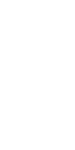 File:Dwemeris C.png