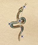 Birth serpent