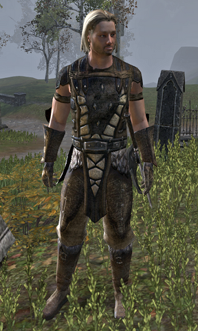 File:Harald Winvale.png