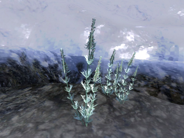 File:Wormwood.png