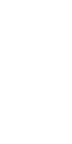 File:Dwemeris N.png