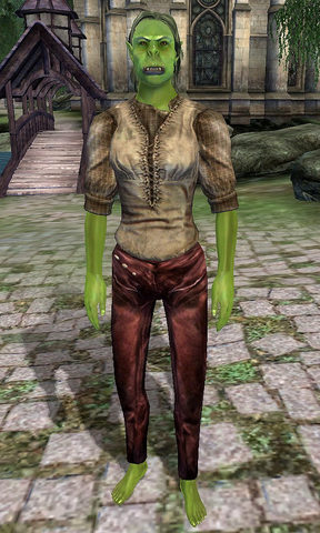 File:Homraz gra Morgrump.png