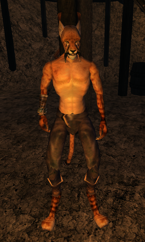 File:Ra'Mhirr.png