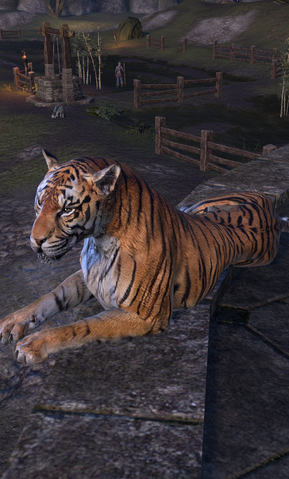 File:Sayya-daro.png