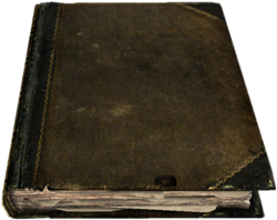 250px-BookLarge02.png