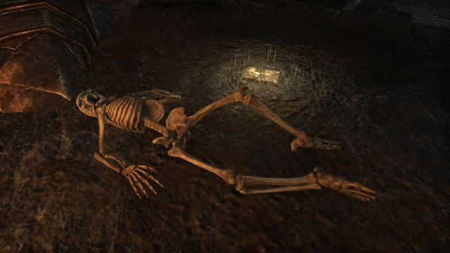 File:Endarre Skeleton.png