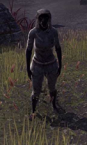 File:Tahayda.png