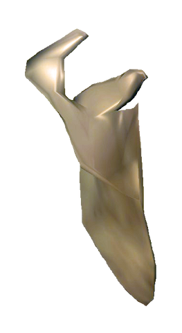 File:Bones Clavicle.png