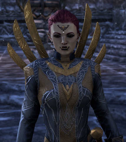 File:Invitation to Orsinium 8.png