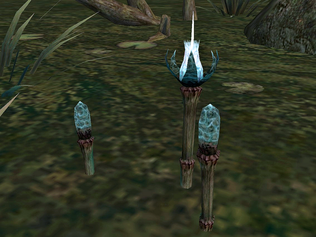 File:Draggle Tail.png