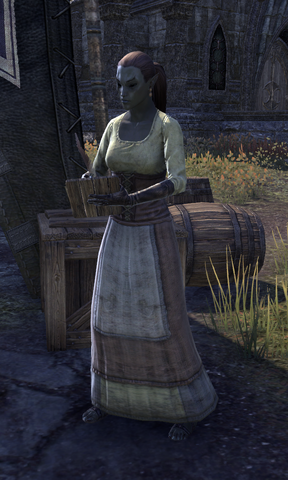 File:Iirila Maleran.png
