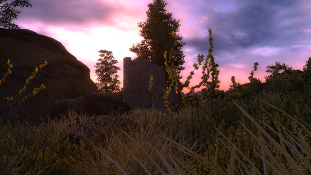 File:TESIV Location Goldcoast 1.png