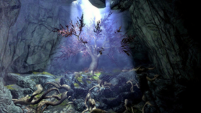 File:Eldergleam Sanctuary.png