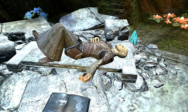File:Forgotten soul1p.jpg