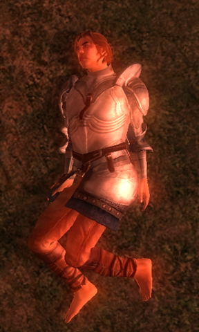 File:FallenknightofthethornOblivion.png