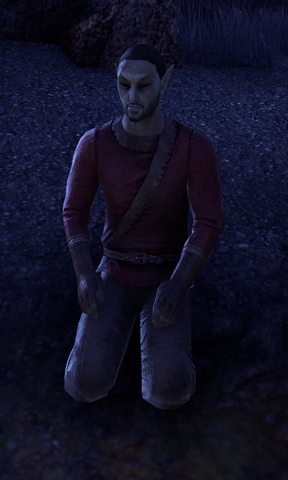 File:Hennus.png