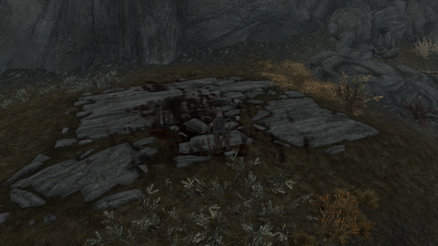 File:Whiterun dead guard.png