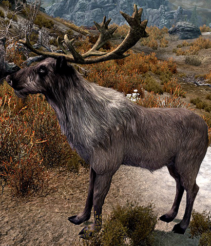 File:Deer Skyrim.png