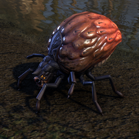 File:ESO Hoarvor.png