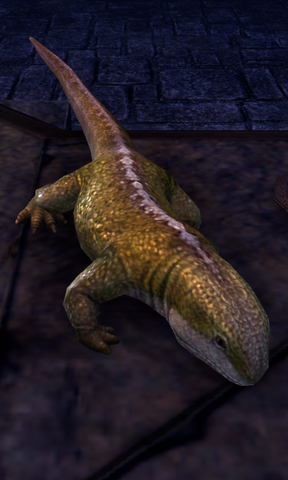 File:ESO Lizard.png