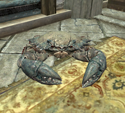 Pincer