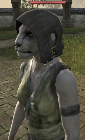 File:Pinirai.png