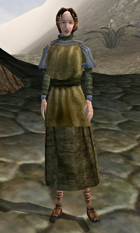 File:Vori (Morrowind).png