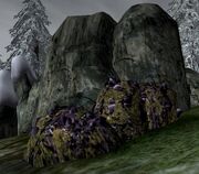 Mining Ebony Ore Quest