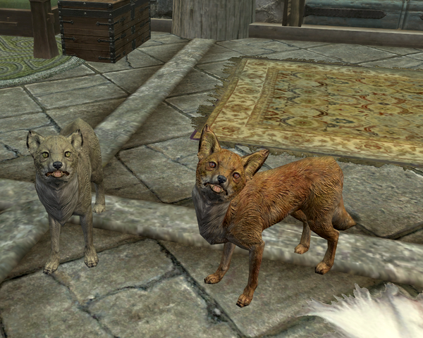 File:Vix and Kit.png