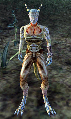 File:Grey-Throat Morrowind.png