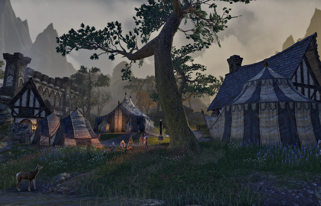 File:Alik'r Camp (Alcaire Castle).png