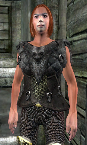 File:Hero Savior's Hide.png