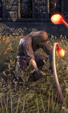File:Jurgar Nine-Toes.png
