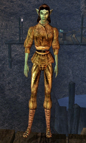 File:Duldresi Senim.png