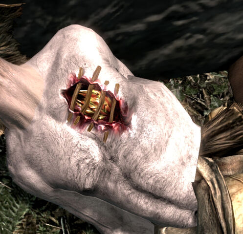 File:BriarheartInChest.jpg