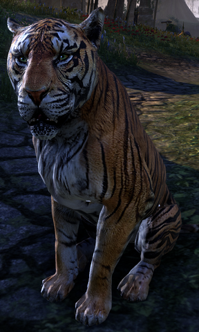 File:Gobani.png