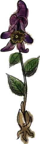 File:Wolfsbane.png