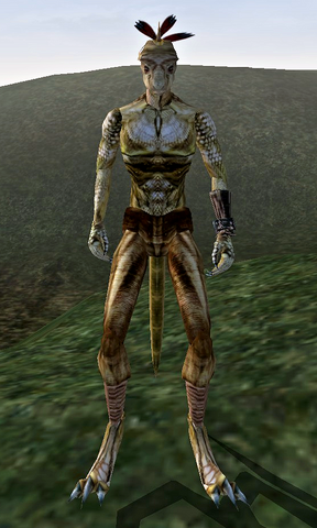File:Kasa.png