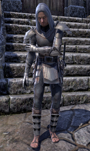 File:Sergeant Stegine.png