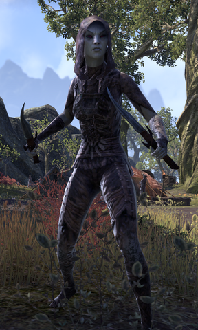 File:Vereansu Slayer.png