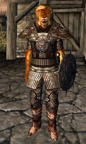 File:Blackwood Company Guard WatersEdge3.png