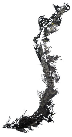 File:Emperor parasol moss.png