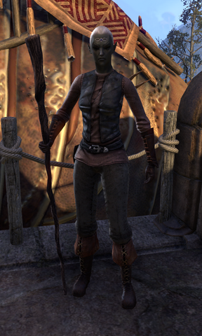 File:Narisa Androm.png