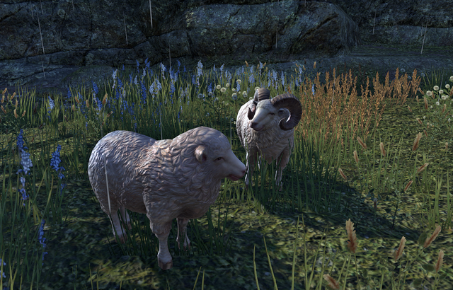 File:Sheep.png